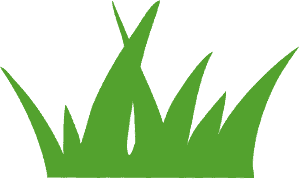 Bannner-pasqua-erba-1