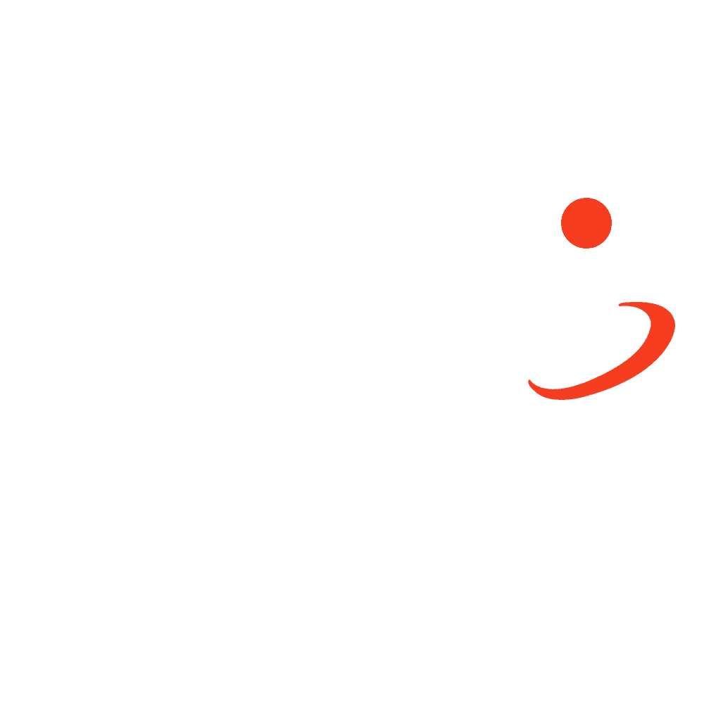 Logo-lapi