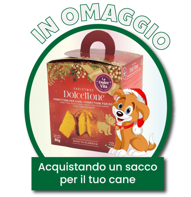 Risorsa 11-panettone