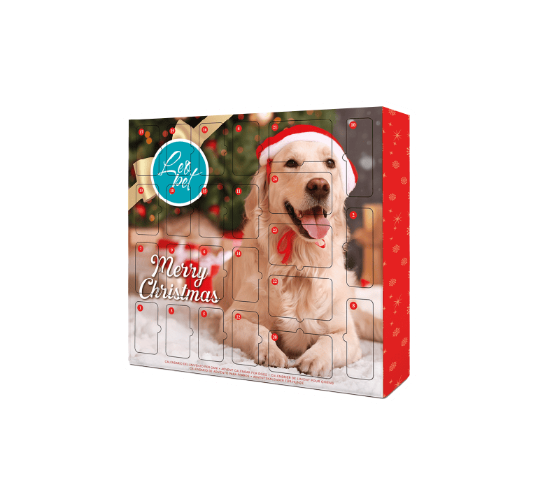calendario-cane-avvento