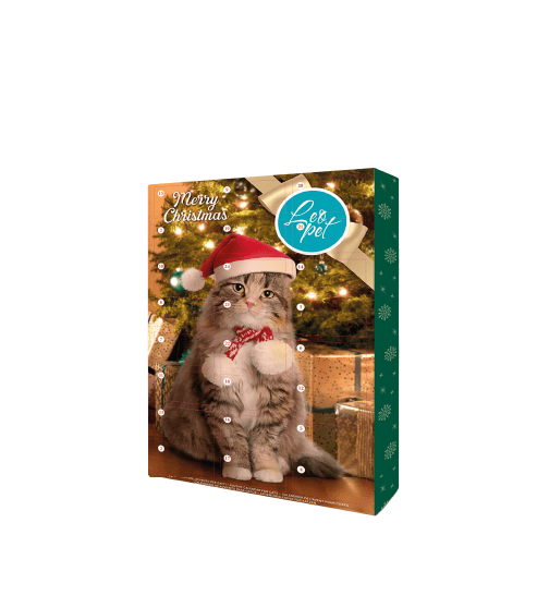 calendario-gatto-avvento