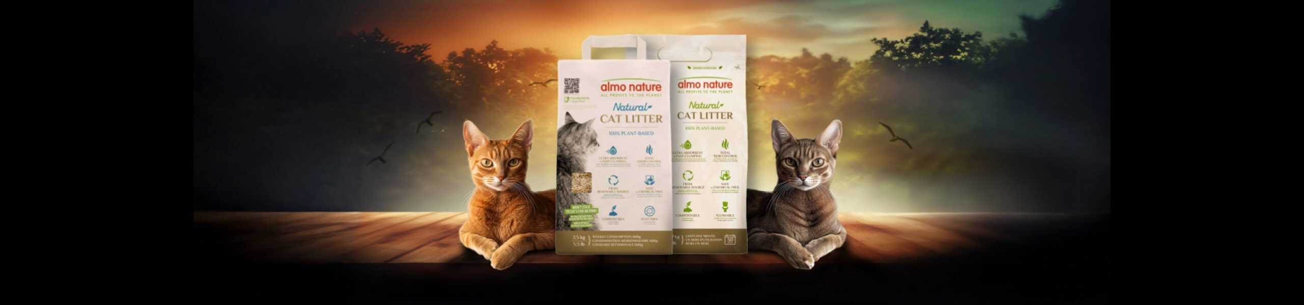 Banner-Slider-Revolution