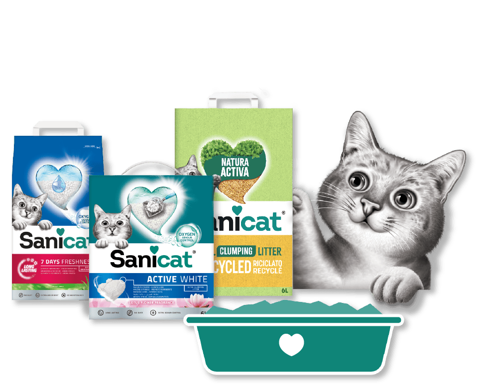 Risorsa 17_banner_sanicat