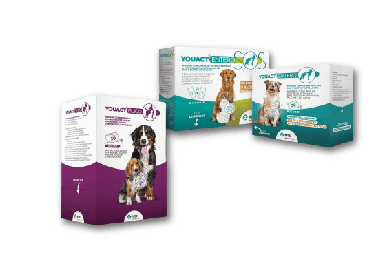 Risorsa 13promo-youact