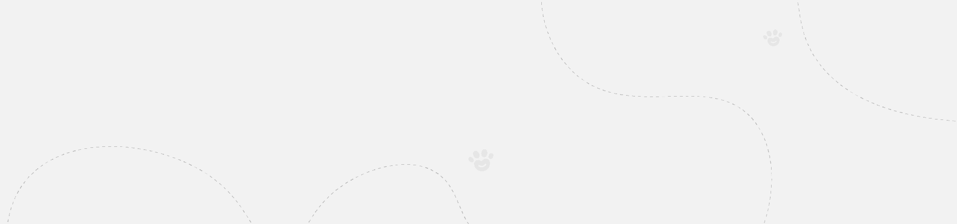 1-banner-camon