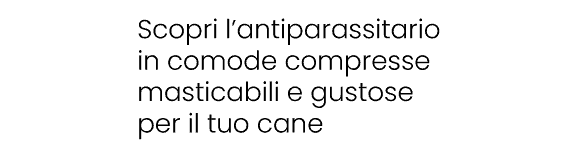 banner-frontpro-testo