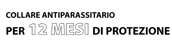 banner-scalibor-testo