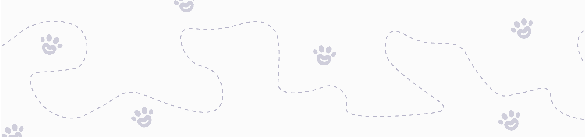 Banner-Estivo-Sfondo-con-zampe