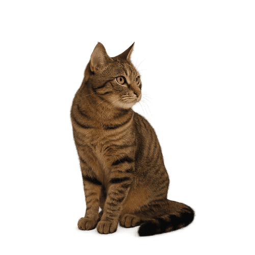 Purina-Pro-Plan-2