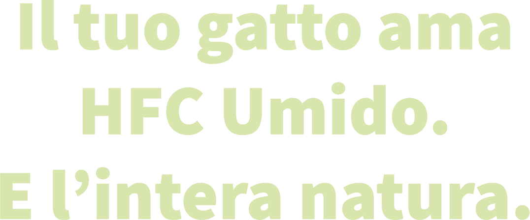 Risorsa 18almo-hfc-set2025