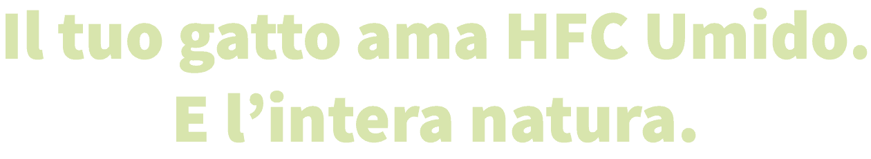 Risorsa 21-mobilealmo-hfc-set2025