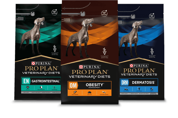 Risorsa 7-banner-purina-sett-2025
