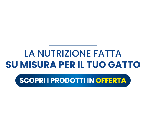 Promo nutrizione su misura per il tuo gatto