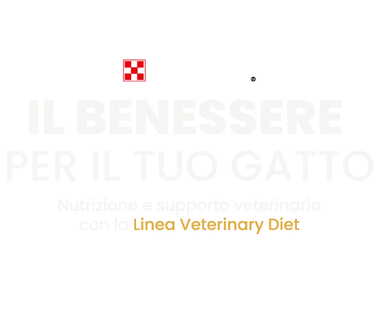 Logo pixelato di The Hacker’s Diet su sfondo nero
