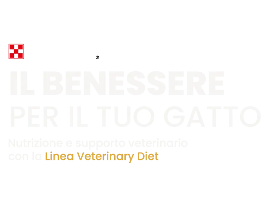 Logo bianco e rosso con slogan dorato su sfondo nero