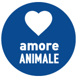 icona-di-nome-e-per-passione-online icona-di-nome-e-per-passione-online