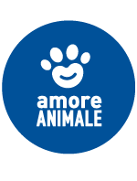 brand amore animale brand amore animale