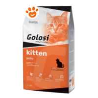Golosi Cat Kitten