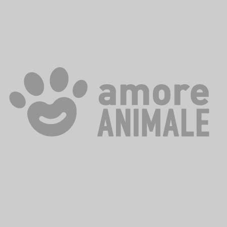 Alimenti