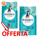 Offerta crocchette cane Forza10 Maxi Adult pesce