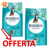 Offerta crocchette cane Forza10 Maxi Adult pesce