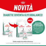 Post-FB_Glycobalance-Cane_Novita