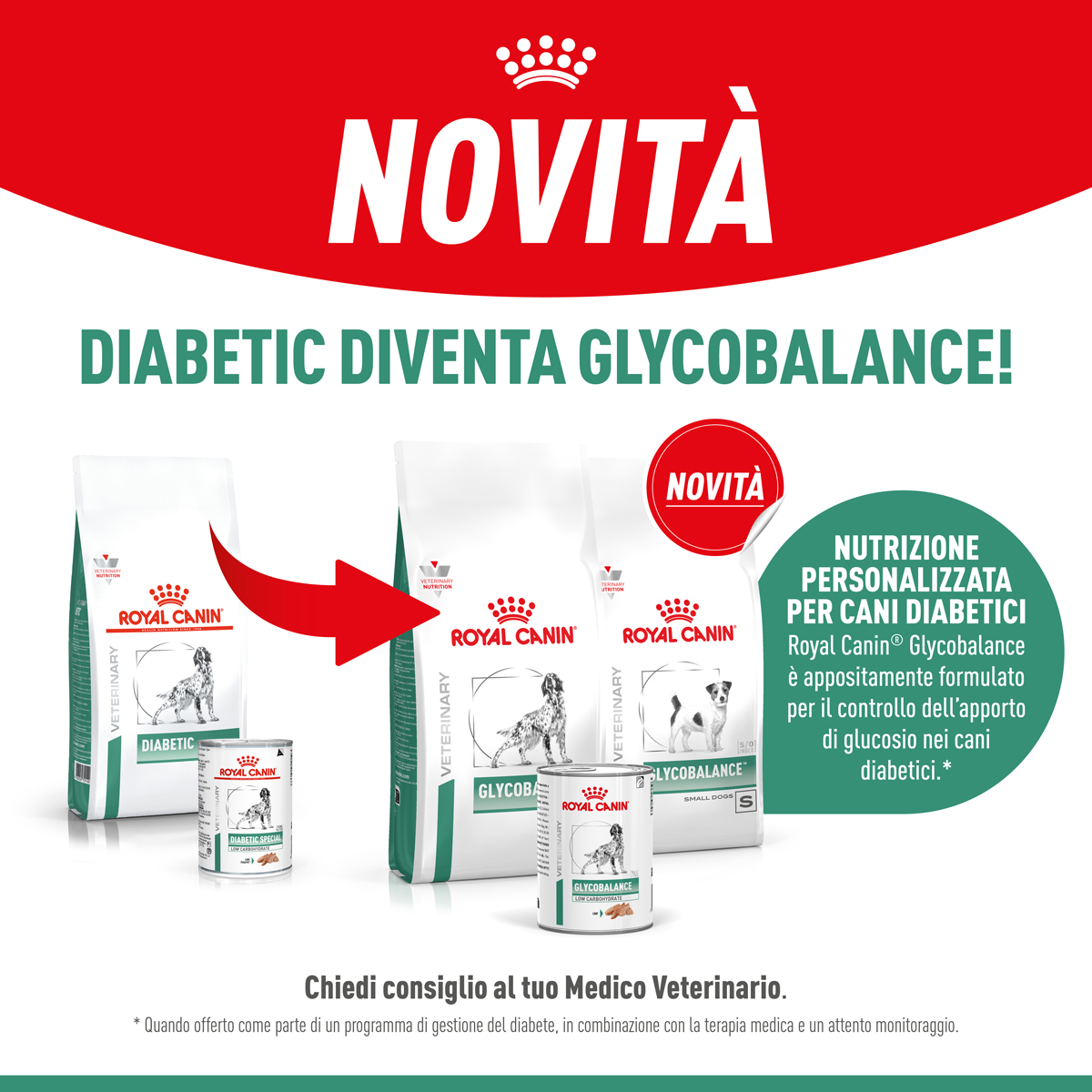 Post-FB_Glycobalance-Cane_Novita
