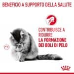 RC-FCN-HairballCareGravy-CV-1-it_IT