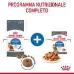 RC-FCN-LightWeightCareGravyPouch-CV-3-it_IT