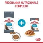 RC-FCN-UrinaryCareGravy-CV-3-it_IT