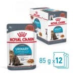 RC-FCN-UrinaryCareGravy-MV-3-it_IT