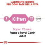 RC-FHN-KittenInstinctiveGravy-CV-Eretailkit-1﻿-it_IT