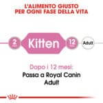 RC-FHN-KittenInstinctiveJelly-CV-Eretailkit-1﻿-it_IT