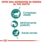 RC-FHN-Wet-Instinctive7Gravy-CV-Eretailkit-2﻿-it_IT