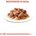 RC-FHN-Wet-Instinctive7Gravy-CV-Eretailkit-3﻿-it_IT