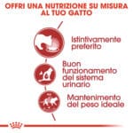 RC-FHN-Wet-InstinctiveJelly-CV-Eretailkit-2﻿-it_IT