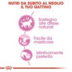RC-FHN-Wet-KittenInstinctiveGravy-CV-Eretailkit-2﻿-it_IT