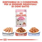 RC-FHN-Wet-KittenInstinctiveGravy-CV-Eretailkit-5﻿-it_IT
