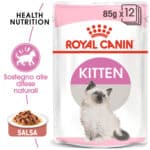 RC-FHN-Wet-KittenInstinctiveGravy-MV-Eretailkit﻿-it_IT