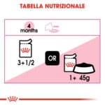 RC-FHN-Wet-KittenInstinctiveJelly-CV-Eretailkit-4﻿-it_IT