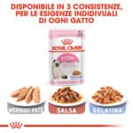 RC-FHN-Wet-KittenInstinctiveJelly-CV-Eretailkit-5﻿-it_IT