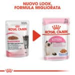 RC-FHN-Wet-KittenInstinctiveJelly-CV-Eretailkit-6﻿-it_IT