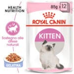 RC-FHN-Wet-KittenInstinctiveJelly-MV-Eretailkit﻿-it_IT