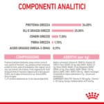 RC-SPT-DRY-Babycat-CV-6-it_IT