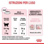 RC-SPT-DRY-Babycat-CV-7-it_IT