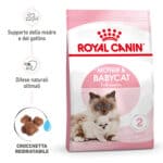RC-SPT-DRY-Babycat-MV-1-it_IT