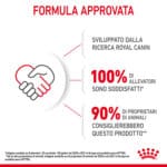 RC-SPT-DRY-Kitten-CV-10-it_IT