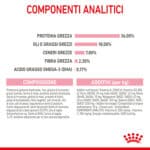RC-SPT-DRY-Kitten-CV-6-it_IT