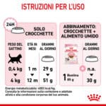 RC-SPT-DRY-Kitten-CV-7-it_IT