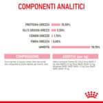 RC-SPT-WET-Babycat-CAN-CV-5-it_IT